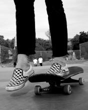 Vans 🏁