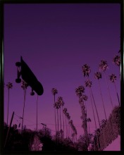 Purple Haze 💜